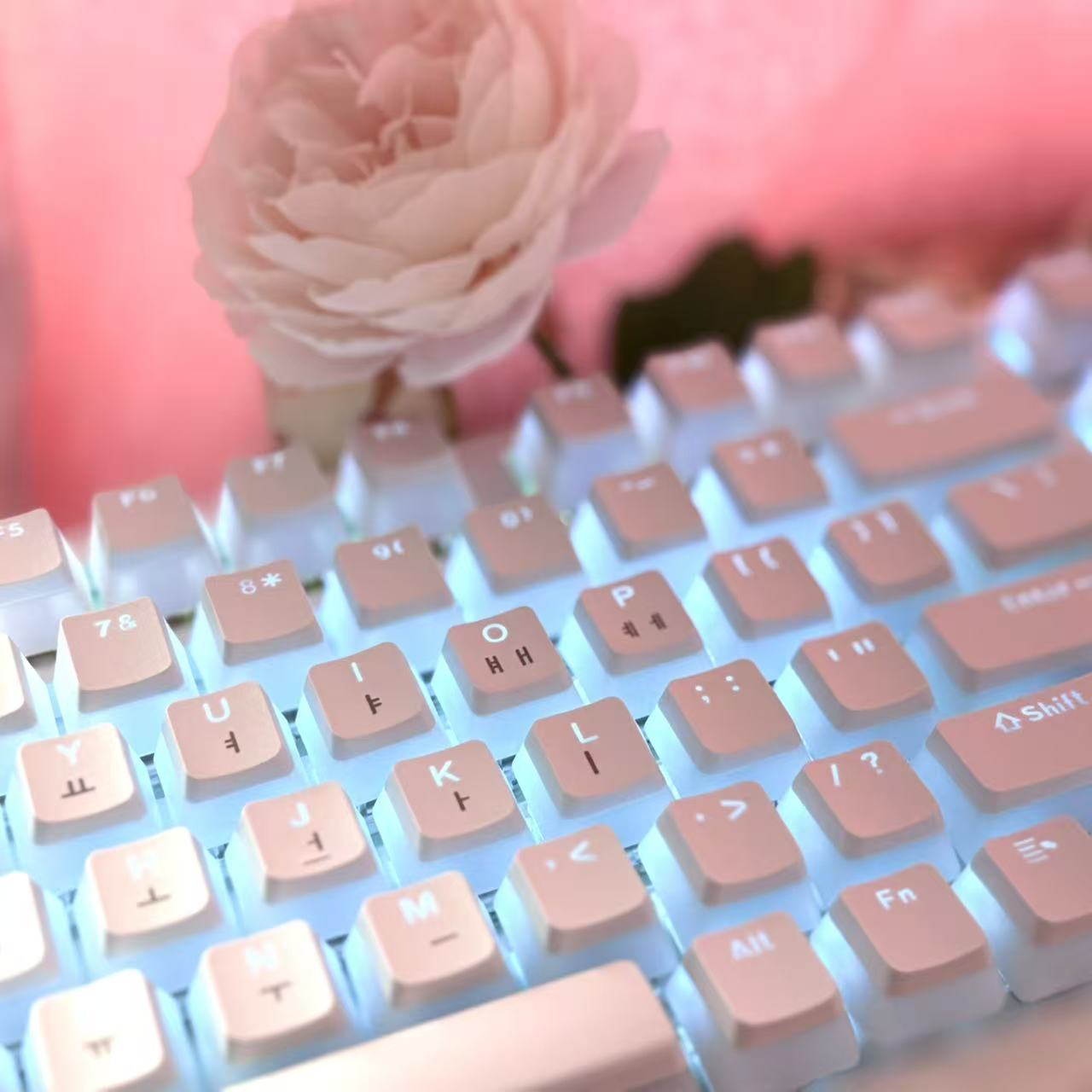 Hangul Keycap Korean Layout Ke - đánh giá và giá Gaming Set Accessories